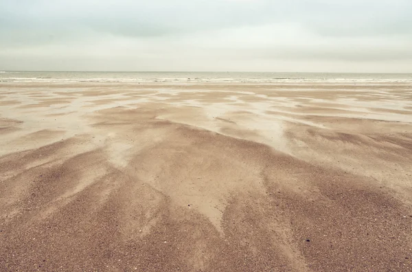 Dunas de areia no Mar do Norte — Fotografia de Stock