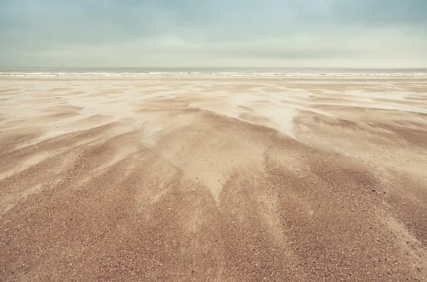 Sand dunes on North Sea — Stock Photo, Image