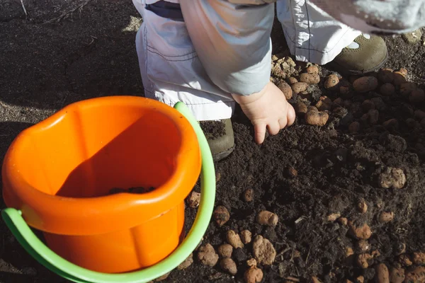 Kinderhände spielen mit Erde Stockbild