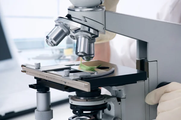 mikroskop ile çalışma