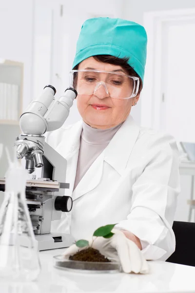 Biologist at work — Stock Photo, Image