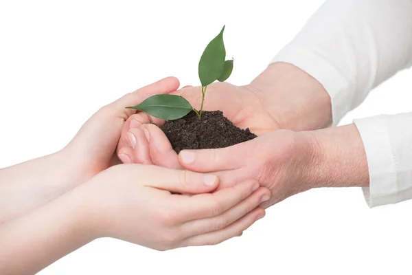 Conservação do ambiente — Fotografia de Stock