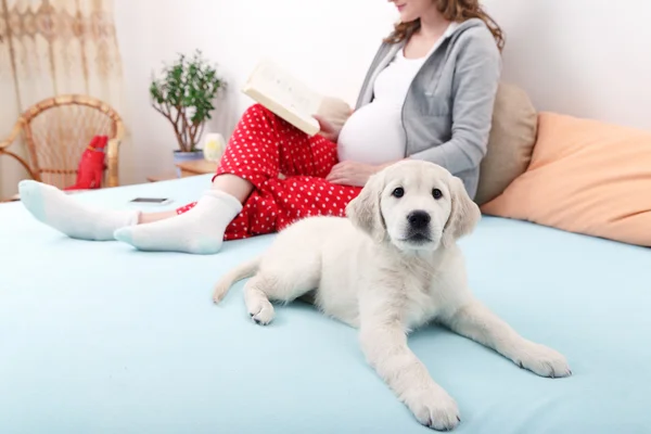 Donna incinta con il suo cane a casa — Foto Stock