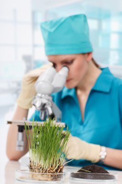 mikroskopla çalışan kadın biyolog