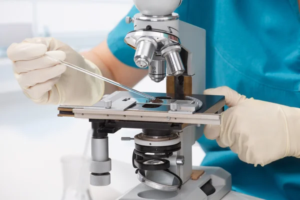 mikroskop ile çalışma