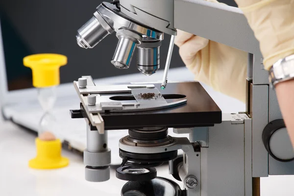 mikroskop ile çalışma