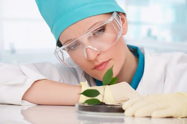 Mujer bióloga con plantas — Foto de Stock