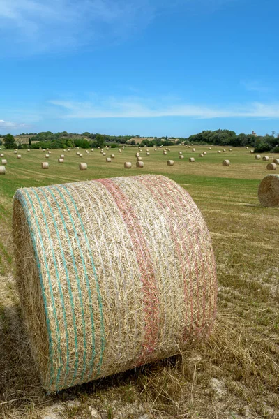 Pilhas de palha - fardos de feno, enrolados em pilhas deixadas após a colheita de espigas de trigo, campo agrícola com colheitas reunidas rural. Ilhas Baleares, Maiorca, Espanha — Fotografia de Stock