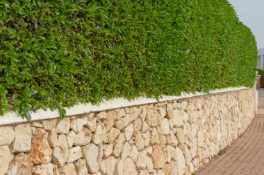 Doğal taş duvar ve yeşil kutu duvar..