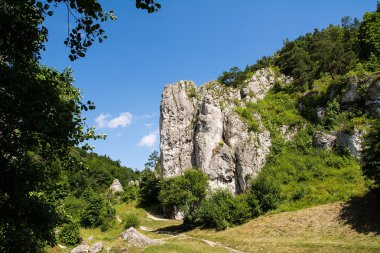 Bolechowicka kapı Bolechowicka Valley (Bolechowice, Polonya)