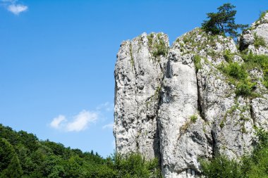 Kalker kayalar Bolechowicka Valley (Bolechowice, Polonya)