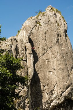Kalker kayalar Bolechowicka Valley (Bolechowice, Polonya)