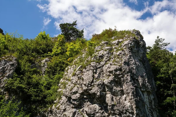 Kalker kayalar Bolechowicka Valley (Bolechowice, Polonya) — Stok fotoğraf