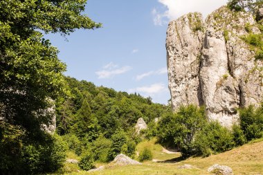 Bolechowicka kapı Bolechowicka Valley (Bolechowice, Polonya)