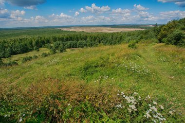 Görünüm Bledowska çölde (Polonya)