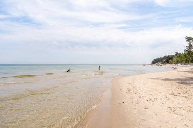 Karwienskie Blota 'da Karwia yakınlarında güzel bir sahil (Polonya)
