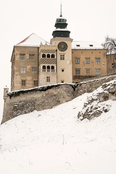 Castle in winter — Stock Photo, Image