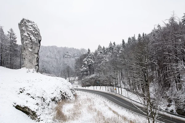 Kış Ojcow Milli Parkı (Polonya)
