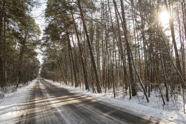 Kış ormanında yol