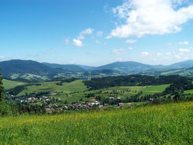 Polonya'da Beskidy Dağları