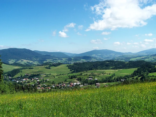 Polonya'da Beskidy Dağları