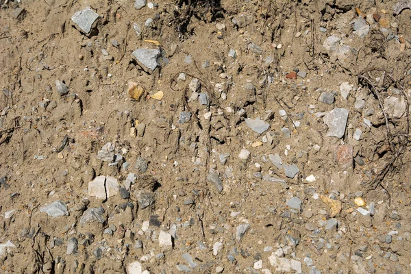 Stenen in het zand — Stockfoto