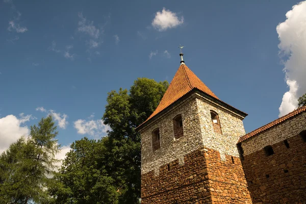 Olkusz kulede — Stok fotoğraf