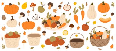 Sonbahar ve mevsimlik sebzeler. Sonbahar hasat sepeti. Balkabağı, elma, mantar ve havuç. Vektör düz resimleme