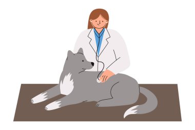 Kadın veteriner klinik masasında gri köpeği muayene ediyor. Modern veterinerlik kliniği hayvan sağlığı hizmetleri ve web sitesi afişleri ve reklam tasarımı için tıbbi hizmet kavramı. Düz vektör illüstrasyonu.