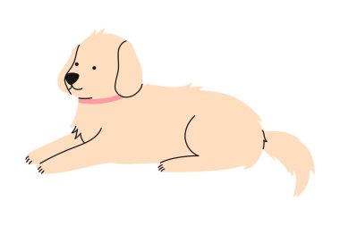 Açık bej renkli köpek, beyaz arka planda sakince izole halde yatıyor. Veteriner kliniği markalaşması, evcil hayvan bakım reklamları ve sağlık tasarım projeleri için evcil hayvan karakteri. Düz vektör illüstrasyonu.