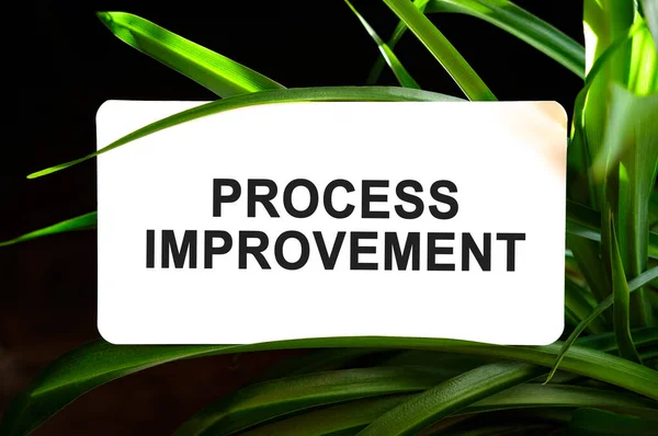 Process improvement text on white surrounded by green leaves