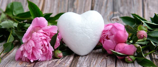 The white heart stands surrounded by pink peony buds — Stock Photo, Image