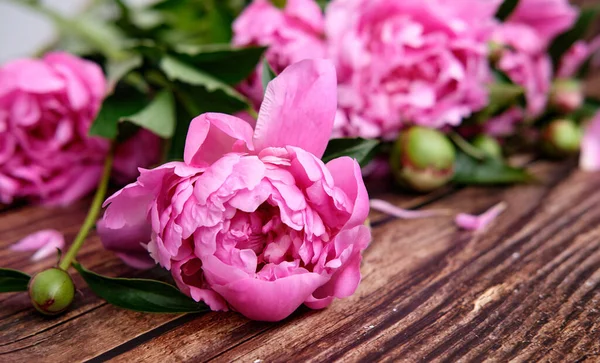 A bouquet of pink peonies In line on a dark wooden background — Stock Photo, Image