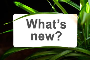 Yeşil yapraklarla çevrili beyaz metinde ne var?