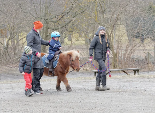 Small pony and a small child riding — Stock Photo, Image