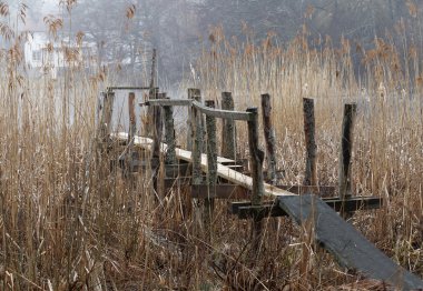 Eski köprünün reed ile önde gelen