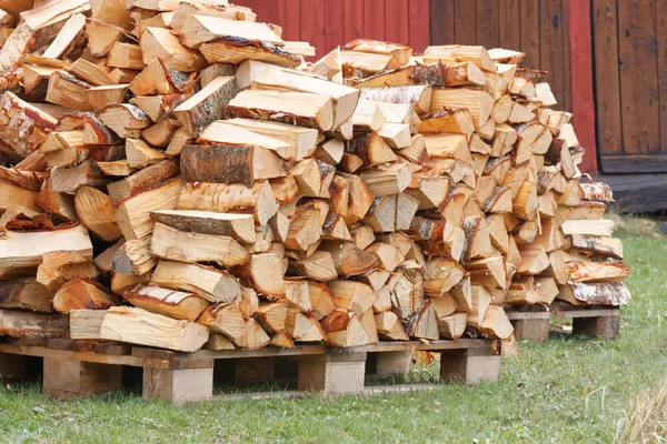 Grote stapel brandhout berk — Stockfoto