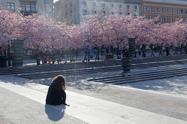 Stockholm Suécia Abril 2016 Panorama Parque Público Kungstradgarden Com Bela — Fotografia de Stock