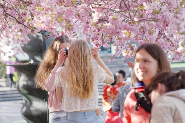 Två unga flickor och vackra blommande körsbärsträd blommor — Stockfoto