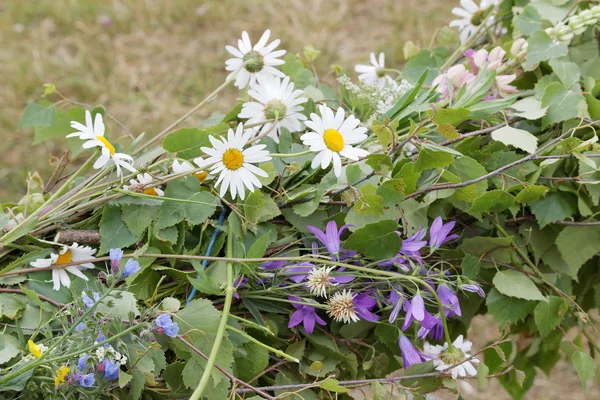 Primer Plano Las Flores Margarita Arándano Poste Mayo Tradicional —  Fotos de Stock