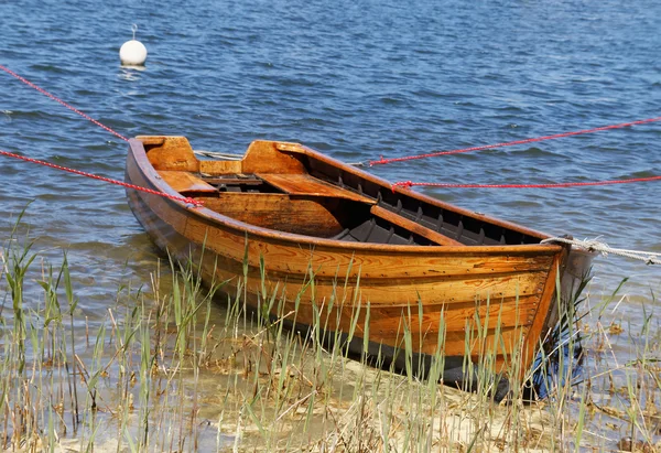 따뜻한 저녁 빛 갈 대 짚으로 나무 rowboat — 스톡 사진