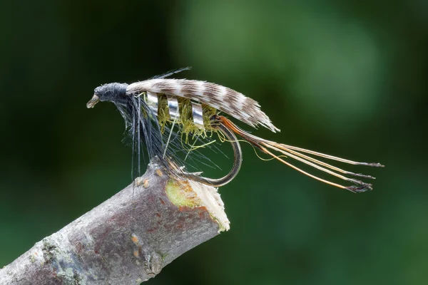 Green, gray and black wet fly fishing lure, green leafs in the b — Stock Photo, Image