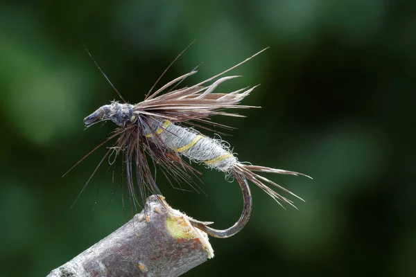 Señuelo gris de pesca con mosca mojada, hojas verdes en el fondo — Foto de Stock