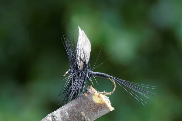 Mosca de pesca con mosca seca, cuerpo negro, alas blancas y hojas en backgr — Foto de Stock