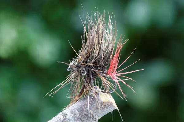 Brown and red dry fly fishing lure, green leafs in the backgroun