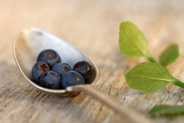 Blueberry in a silver spoone on a wooden table in warm light — Stock Photo, Image