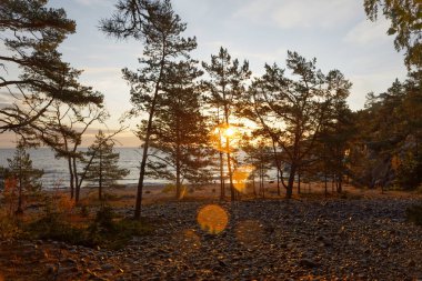 Denizde güzel bir akşam ışığı, çam ağaçlarının arasından süzülen güneş ışığı, çakıllarla kaplı zemin. Güneşten parlayan mercekler
