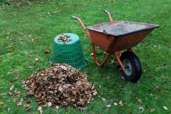 Ύψωμα τροχό και leafes — Φωτογραφία Αρχείου