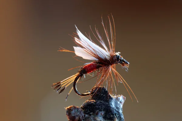 Vermelho mosca isca de pesca — Fotografia de Stock