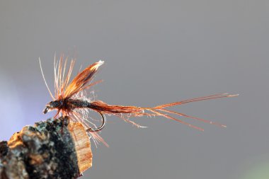 Kahverengi caddisfly taklit